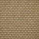 Sawgrass